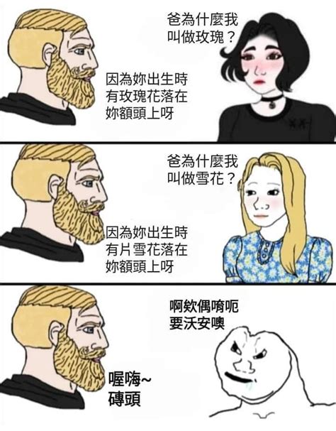 磚頭 梗圖|磚頭